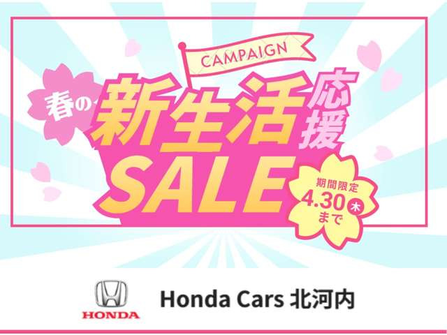 オデッセイ2.0 ハイブリッド アブソルート ホンダセンシング EXパッケージ