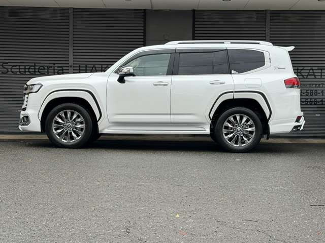 電動デフロック・LED照明付きサイドステップ・ブラックルーフレール。