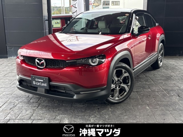 MX-302.0 モダン コンフィデンス