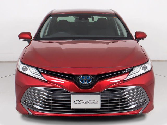 �։��Ԃł�!�����͌��ȃj�I�C�������A�������Y��ȏ�Ԃł�!�։��ԁE�E���ɃZ�_���^�C�v�̂��Ԃł͏��Ȃ��ł����!!�^�o�R�̃j�I�C�����Ȃ��q�l�K���ł�!���K�ɂ���Ԓ����܂�!!