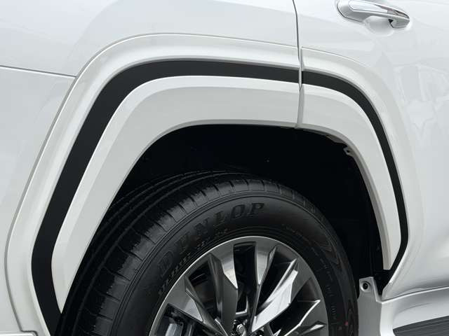 【オプション】モデリスタフェンダーガーニッシュ。