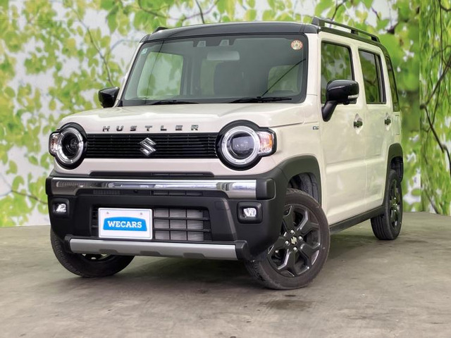 ハスラータフワイルド