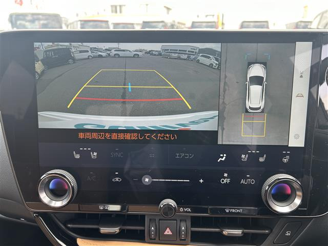 NX250 バージョンL