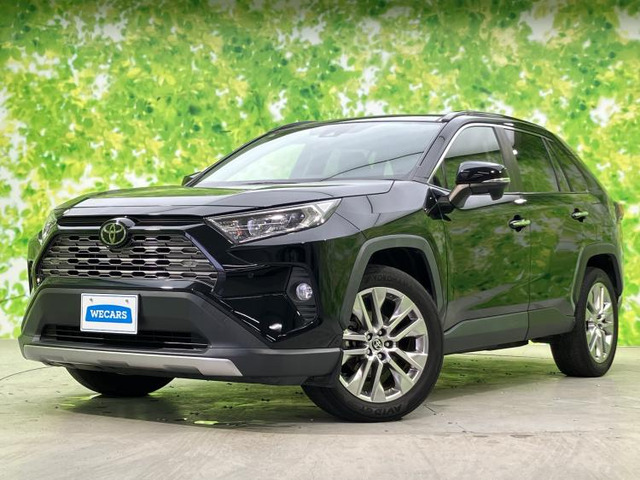 RAV42.0 G Zパッケージ 4WD