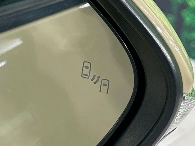 �y�u���C���h�X�|�b�g���j�^�[�z���s���A�h�A�~���[�̎��p�ɂȂ�₷���ӏ��Ɍ㑱�Ԃ��ڋ߂���ƃT�C�h�~���[�̃����Y�Ɍx����\��!�h���C�o�[�ɒ��ӊ��N�����Ă���܂��B