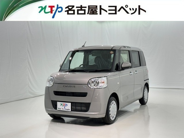 ムーヴキャンバスセオリー X