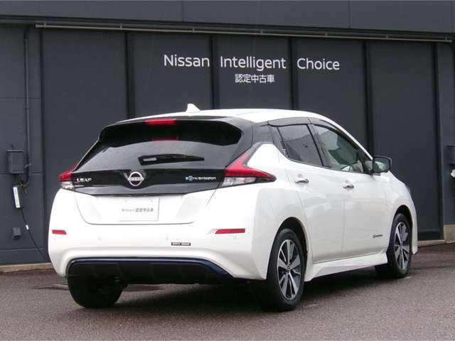 リーフe+ X