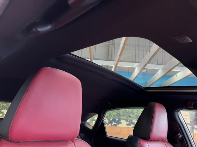 �y�T�����[�t�z�J���������Ղ�̊󏭑����A�T�����[�t����������Ă��܂�!�ԓ��ɖ�����������ꂽ��i�F���y���ވȊO�ɂ��A�ԓ��̋�C���ȒP�Ɋ��C�ł��ĉ��K�ł�!