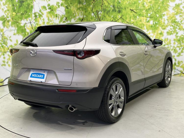 CX-302.0 20S