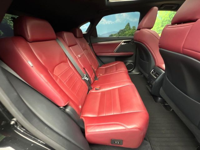 �㕔���Ȃ��C�ɂȂ�悤�ȃL�Y�E�����ւ��蓙�A�傫�ȃ_���[�W�͂Ȃ��A�ǍD�ȏ�Ԃł��B