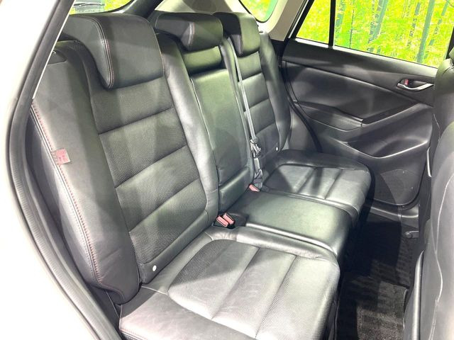 �㕔���Ȃ��C�ɂȂ�悤�ȃL�Y�E�����ւ��蓙�A�傫�ȃ_���[�W�͂Ȃ��A�ǍD�ȏ�Ԃł��B