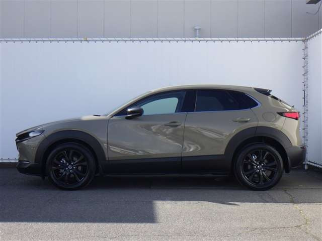 CX-301.8 XD ブラックトーンエディション
