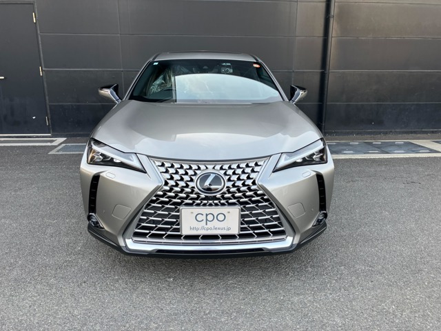 UX250h グレイスフル エクスプローラー