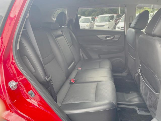 �㕔���Ȃ��C�ɂȂ�悤�ȃL�Y�E�����ւ��蓙�A�傫�ȃ_���[�W�͂Ȃ��A�ǍD�ȏ�Ԃł��B