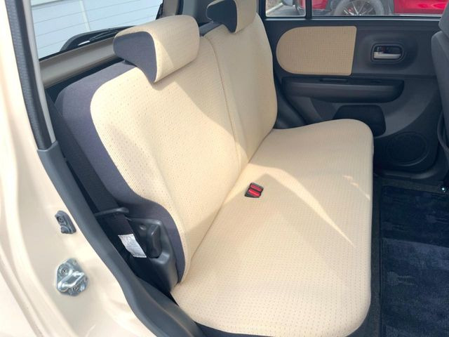 �㕔���Ȃ��C�ɂȂ�悤�ȃL�Y�E�����ւ��蓙�A�傫�ȃ_���[�W�͂Ȃ��A�ǍD�ȏ�Ԃł��B