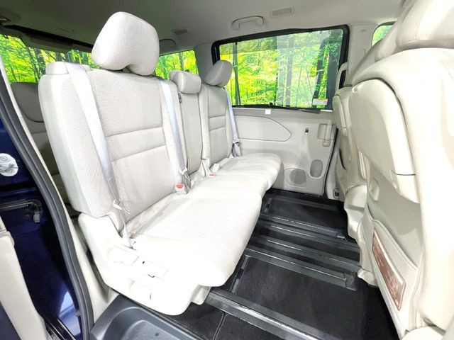 �㕔���Ȃ��C�ɂȂ�悤�ȃL�Y�E�����ւ��蓙�A�傫�ȃ_���[�W�͂Ȃ��A�ǍD�ȏ�Ԃł��B