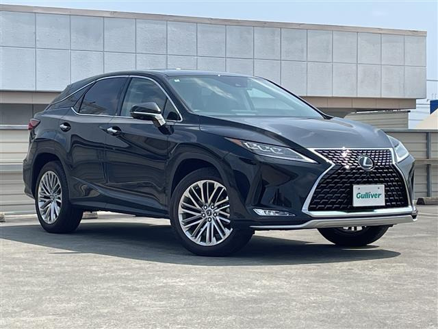 RX300 バージョンL