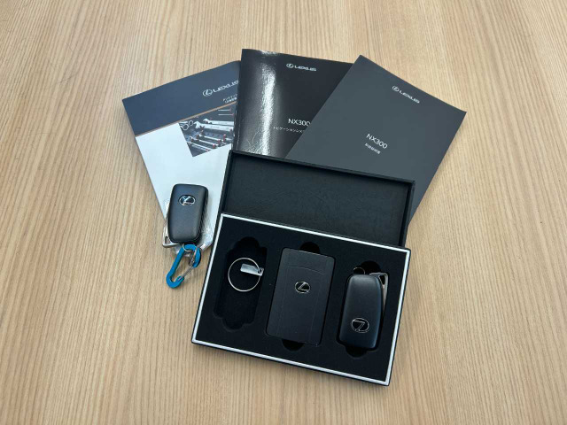 NX300 Iパッケージ