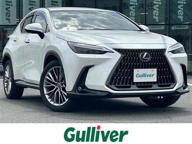 NX250 バージョンL