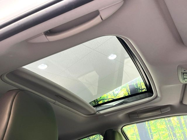 �y�T�����[�t�z�J���������Ղ�̊󏭑����A�T�����[�t����������Ă��܂�!�ԓ��ɖ�����������ꂽ��i�F���y���ވȊO�ɂ��A�ԓ��̋�C���ȒP�Ɋ��C�ł��ĉ��K�ł�!