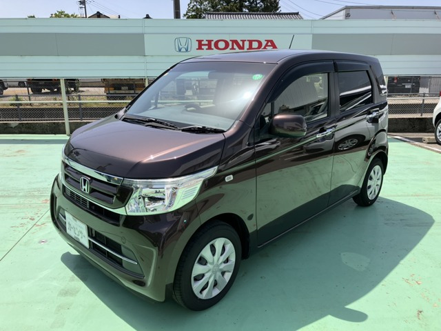 N-WGNG Lパッケージ