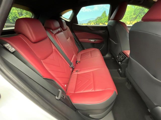 �㕔���Ȃ��C�ɂȂ�悤�ȃL�Y�E�����ւ��蓙�A�傫�ȃ_���[�W�͂Ȃ��A�ǍD�ȏ�Ԃł��B