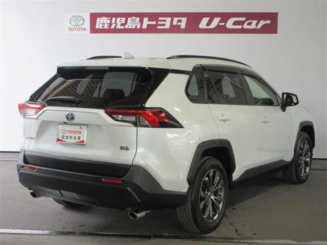 RAV42.5 ハイブリッド X