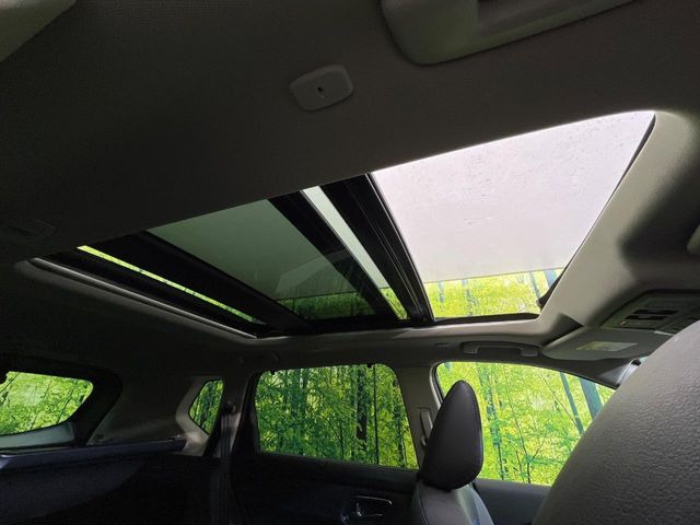 �y�T�����[�t�z�J���������Ղ�̊󏭑����A�T�����[�t����������Ă��܂�!�ԓ��ɖ�����������ꂽ��i�F���y���ވȊO�ɂ��A�ԓ��̋�C���ȒP�Ɋ��C�ł��ĉ��K�ł�!