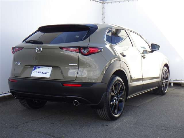 CX-301.8 XD ブラックトーンエディション