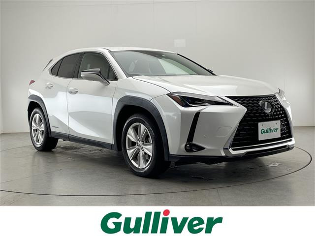 UX250h バージョンC