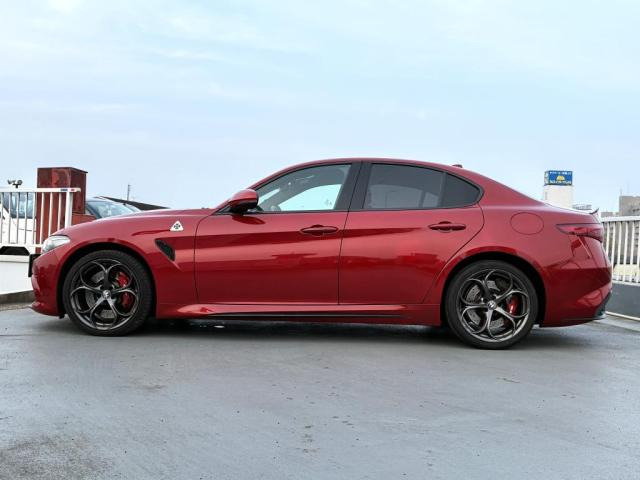 ジュリアクアドリフォリオ