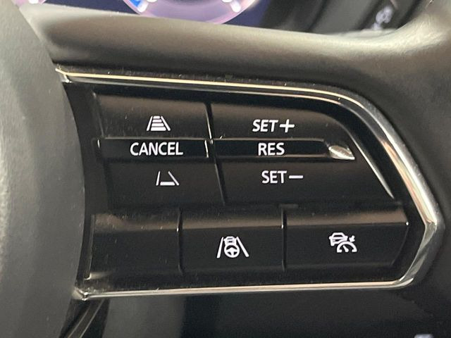 �y�}�c�_�E���[�_�[�N���[�Y�R���g���[���z�������H�ł̒��������s���y��!�����ő��x��ۂN���[�Y�R���g���[�����A�Փˌy���V�X�e���ƘA�g���A�O���̎ԗ������m���ĎԊԂ�ۂ悤�ɑ��x���߂��Ă���܂�!!