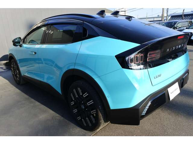 リーフB7 G