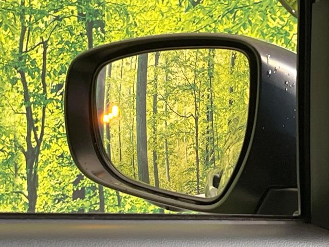 �y�u���C���h�X�|�b�g���j�^�[�z���s���A�h�A�~���[�̎��p�ɂȂ�₷���ӏ��Ɍ㑱�Ԃ��ڋ߂���ƃT�C�h�~���[�t�߂Ɍx����\���A�h���C�o�[�ɒ��ӊ��N�����Ă���܂��B