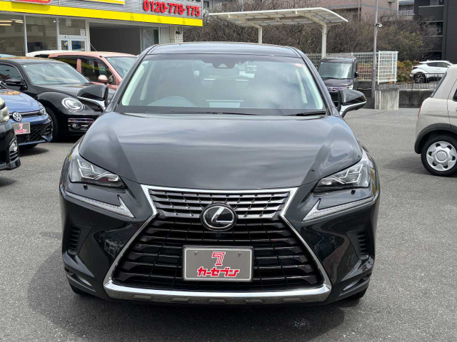 NX300 Iパッケージ