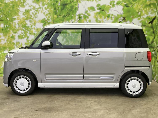 ムーヴキャンバスストライプス G