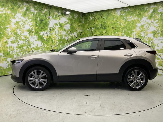 CX-302.0 20S