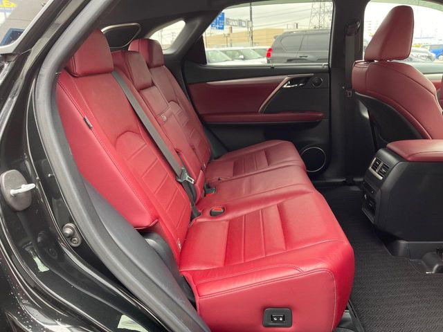 �㕔���Ȃ��C�ɂȂ�悤�ȃL�Y�E�����ւ��蓙�A�傫�ȃ_���[�W�͂Ȃ��A�ǍD�ȏ�Ԃł��B