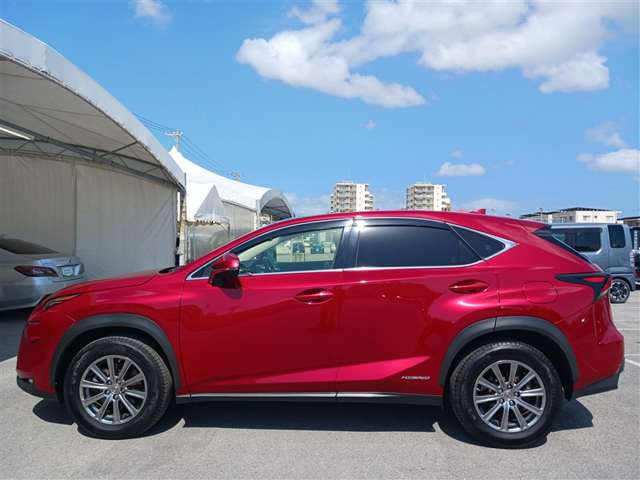 NX300h Iパッケージ