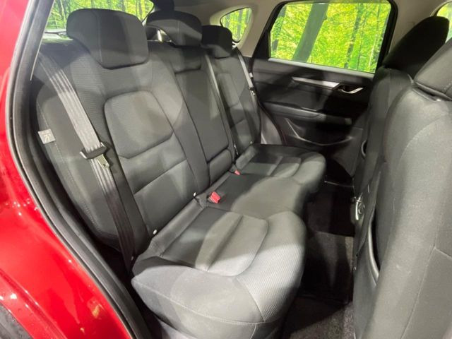 �㕔���Ȃ��C�ɂȂ�悤�ȃL�Y�E�����ւ��蓙�A�傫�ȃ_���[�W�͂Ȃ��A�ǍD�ȏ�Ԃł��B