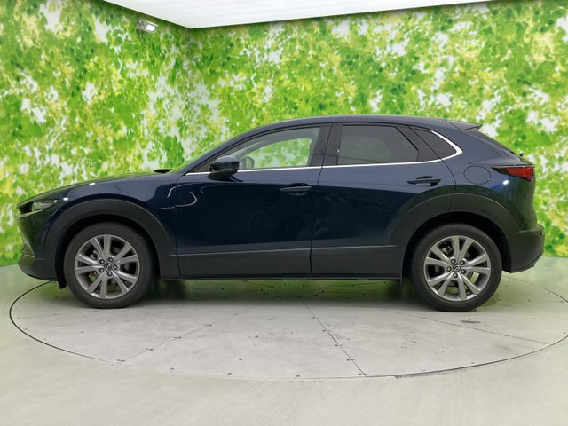 CX-301.8 XD プロアクティブ