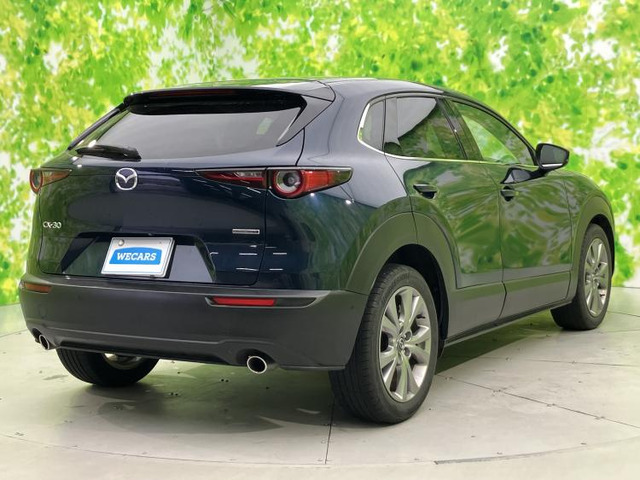 CX-301.8 XD プロアクティブ