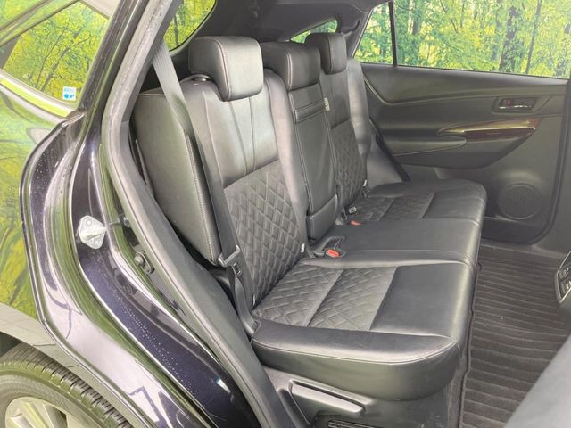 �㕔���Ȃ��C�ɂȂ�悤�ȃL�Y�E�����ւ��蓙�A�傫�ȃ_���[�W�͂Ȃ��A�ǍD�ȏ�Ԃł��B