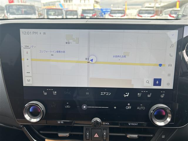 NX250 バージョンL