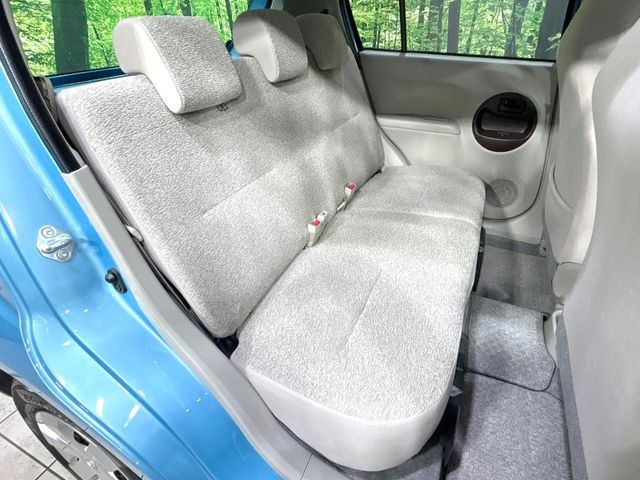 �㕔���Ȃ��C�ɂȂ�悤�ȃL�Y�E�����ւ��蓙�A�傫�ȃ_���[�W�͂Ȃ��A�ǍD�ȏ�Ԃł��B