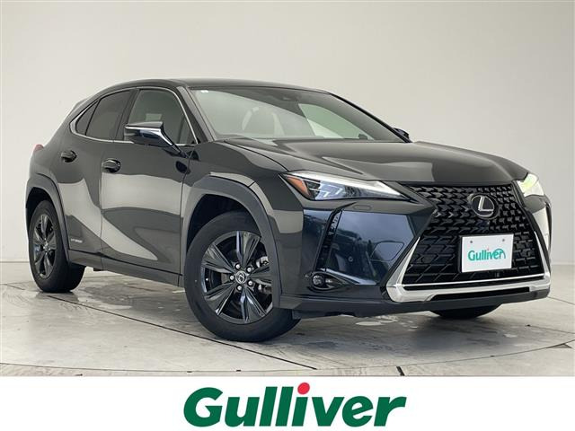 UX250h バージョンC