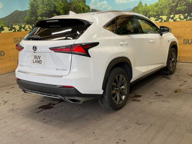 ���S���̃l�N�X�e�[�W���炨���񂹂��\��!�����̓X�܂ɓW�����Ă���N���}���C�ɂȂ�ꍇ���A�Ŋ��̓X�܂ł��������������Ƃ��\�ł�!���񎄂����ɗv�]������������������!���ʓr��p