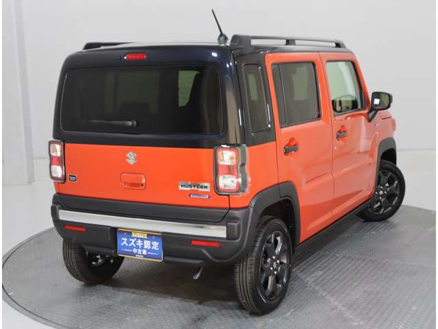 ハスラータフワイルド