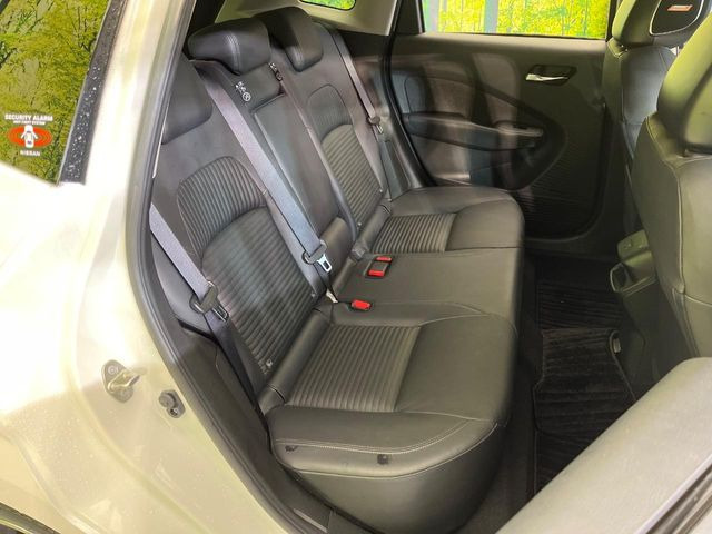 �㕔���Ȃ��C�ɂȂ�悤�ȃL�Y�E�����ւ��蓙�A�傫�ȃ_���[�W�͂Ȃ��A�ǍD�ȏ�Ԃł��B