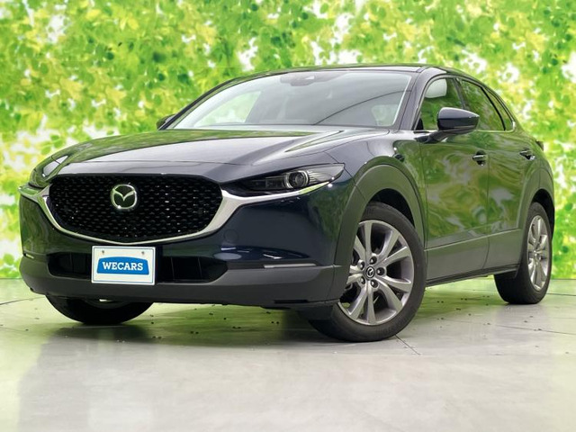 CX-301.8 XD プロアクティブ